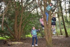 Kinderen klimmen in een boom